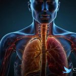 Alterações no organismo pelo álcool: saiba o que realmente acontece com seu corpo